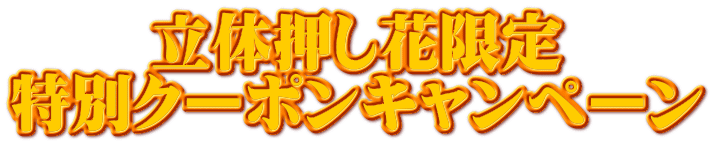 ̉Ԍ ʃN[|Ly[ 